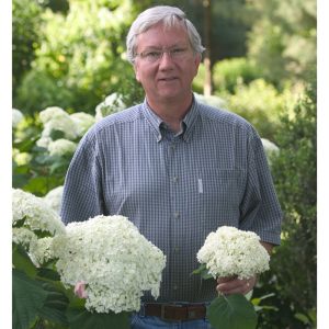 Incrediball? Smooth Hydrangea